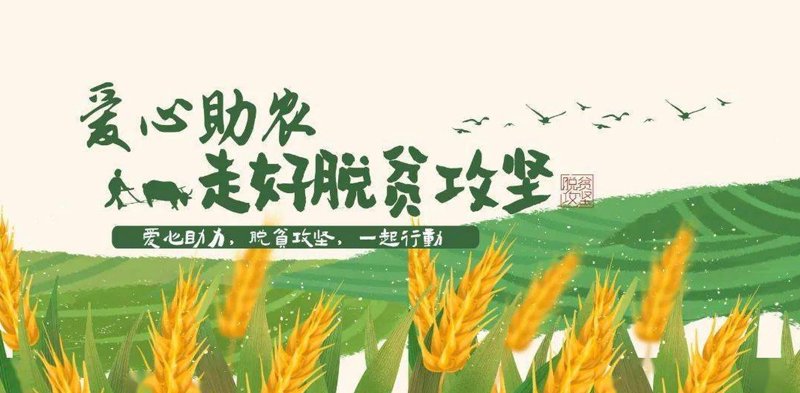 农业项目开发选购指南：打造乡村振兴新引擎